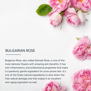 dermoSpa Bulgarian Rose Radiance Renewal Night Creme - Lotus Professional